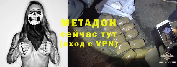 стаф Медногорск