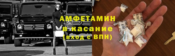 стаф Медногорск