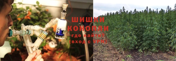 стаф Медногорск