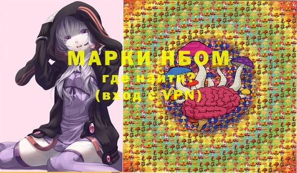 стаф Медногорск