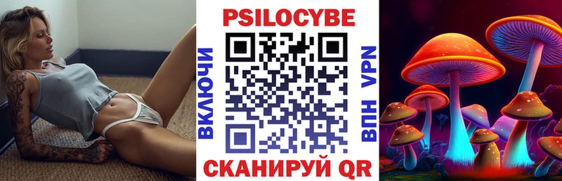 ссылка на мегу ССЫЛКА  Навашино  Галлюциногенные грибы мицелий 